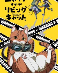 Đi Đêm Lắm Có Ngày Gặp Mèo